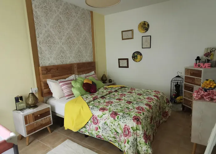 Wind Rose Duplex Gran Tarajal