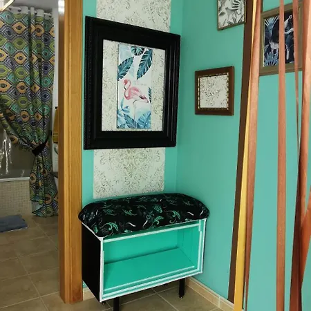 Vakantiehuis Wind Rose Duplex *